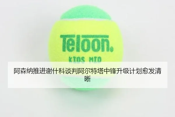 阿森纳推进谢什科谈判阿尔特塔中锋升级计划愈发清晰（FIFA World Cup）